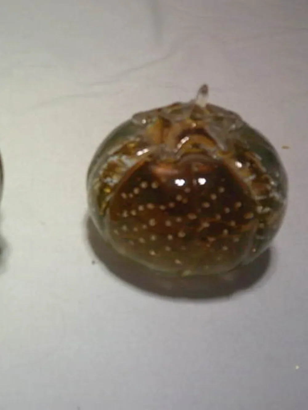 LOT 2 VTG PORCELAIN GLASS SMALL FALL PUMPKIN GOURDS HEAVY PAPER WEIGHTS DECOR 🎃